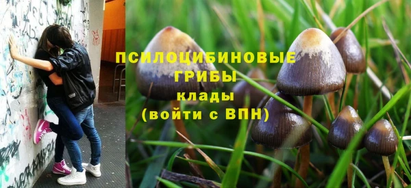 PSILOCYBIN Абинск